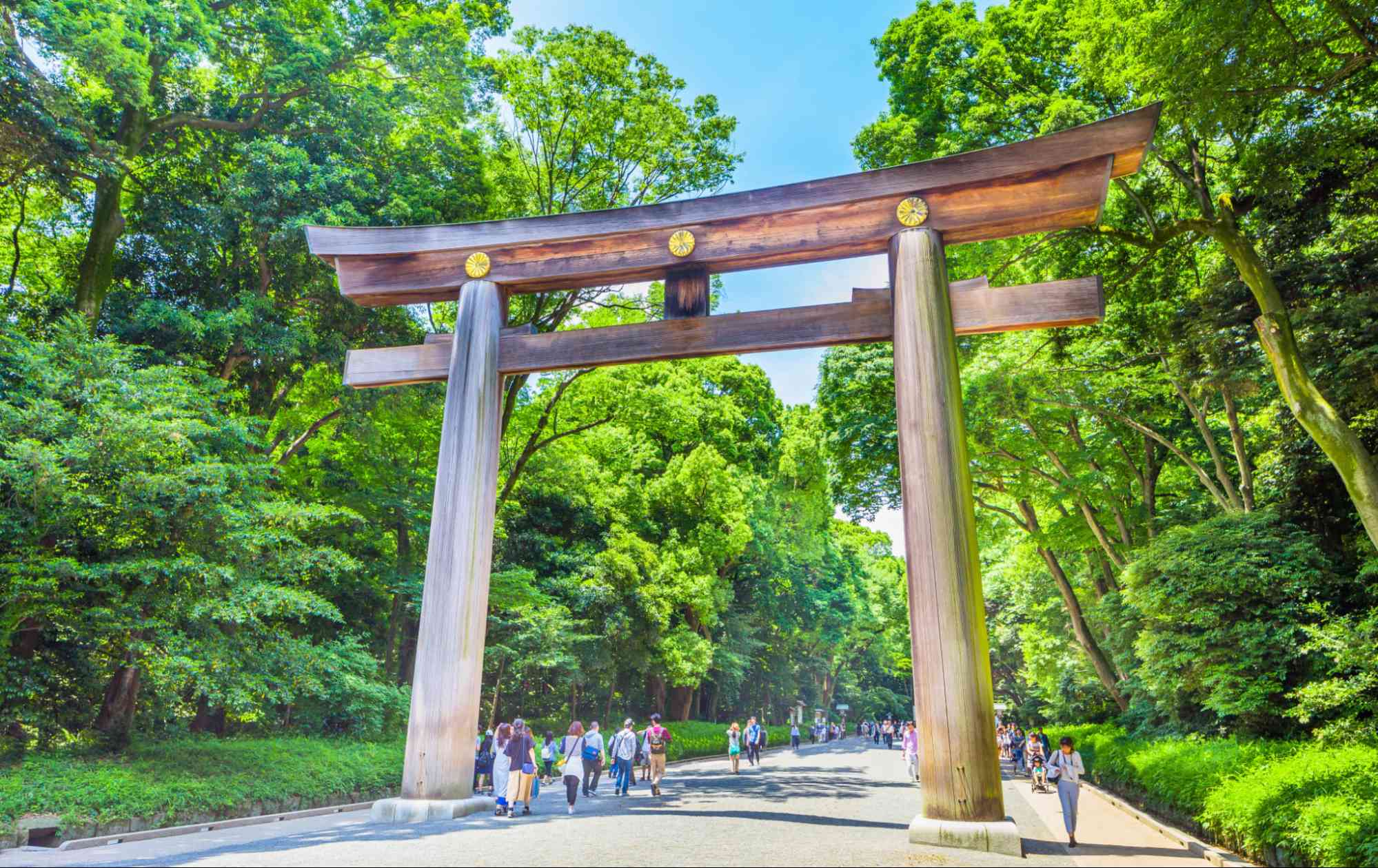 東京獨旅景點 澀谷｜明治神宮