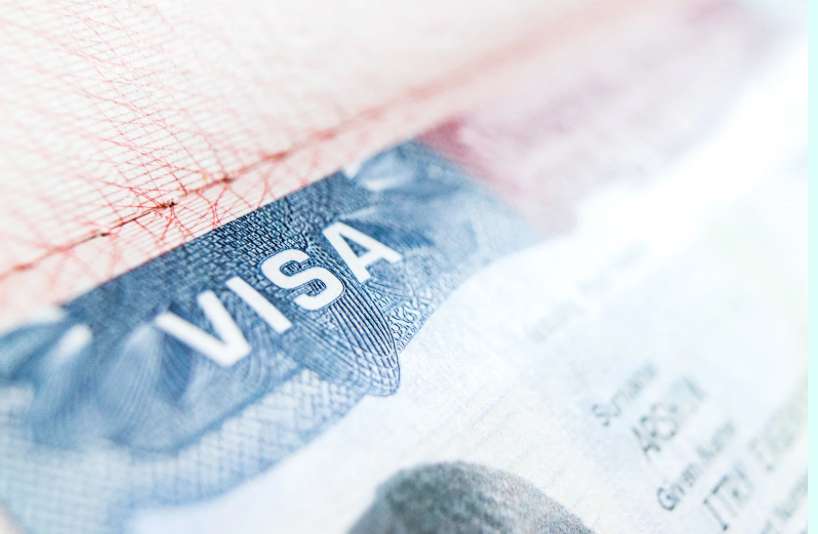 เอกสารสำคัญสัตว์เลี้ยงขึ้นเครื่องบิน