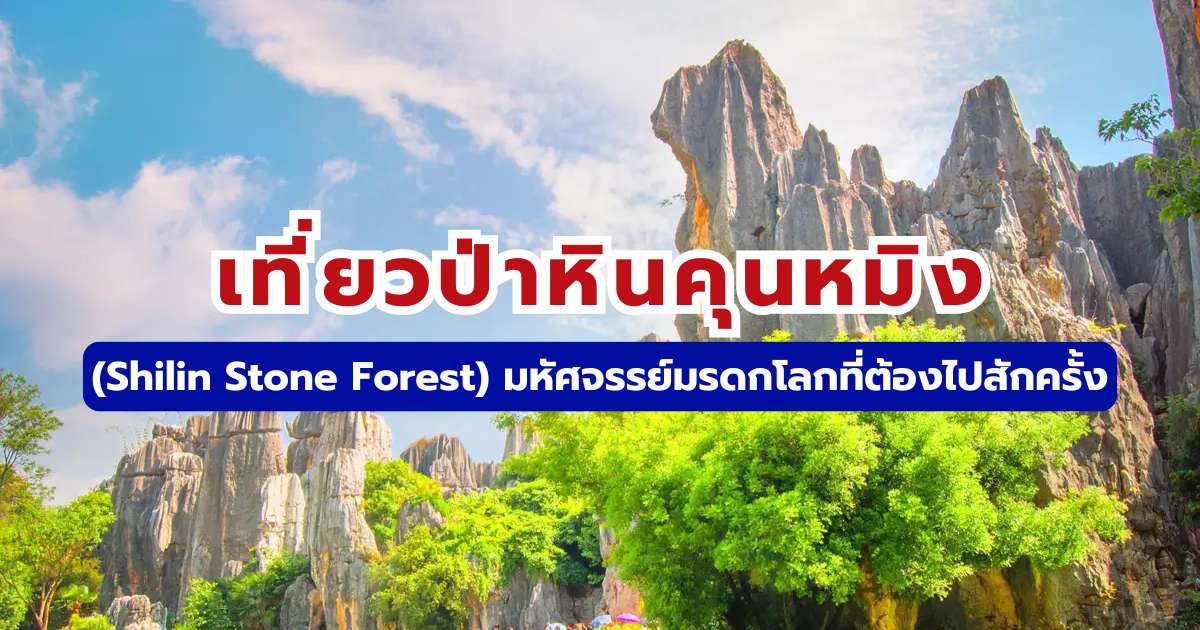 เที่ยวป่าหินคุนหมิง (Shilin Stone Forest) 2569: มหัศจรรย์มรดกโลกที่ต้องไปสักครั้ง