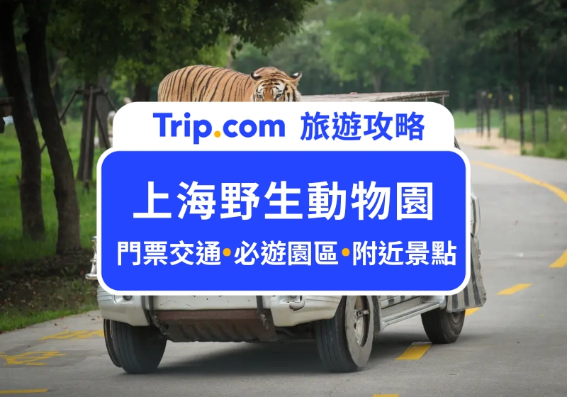 2025 上海野生動物園｜門票交通、園區地圖全攻略，敢不敢和獵豹近距離共進午餐？