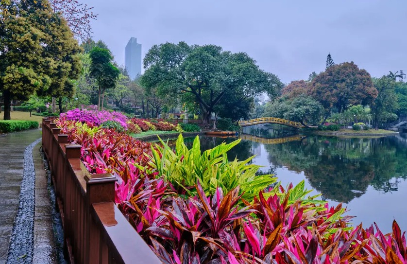 曉港公園