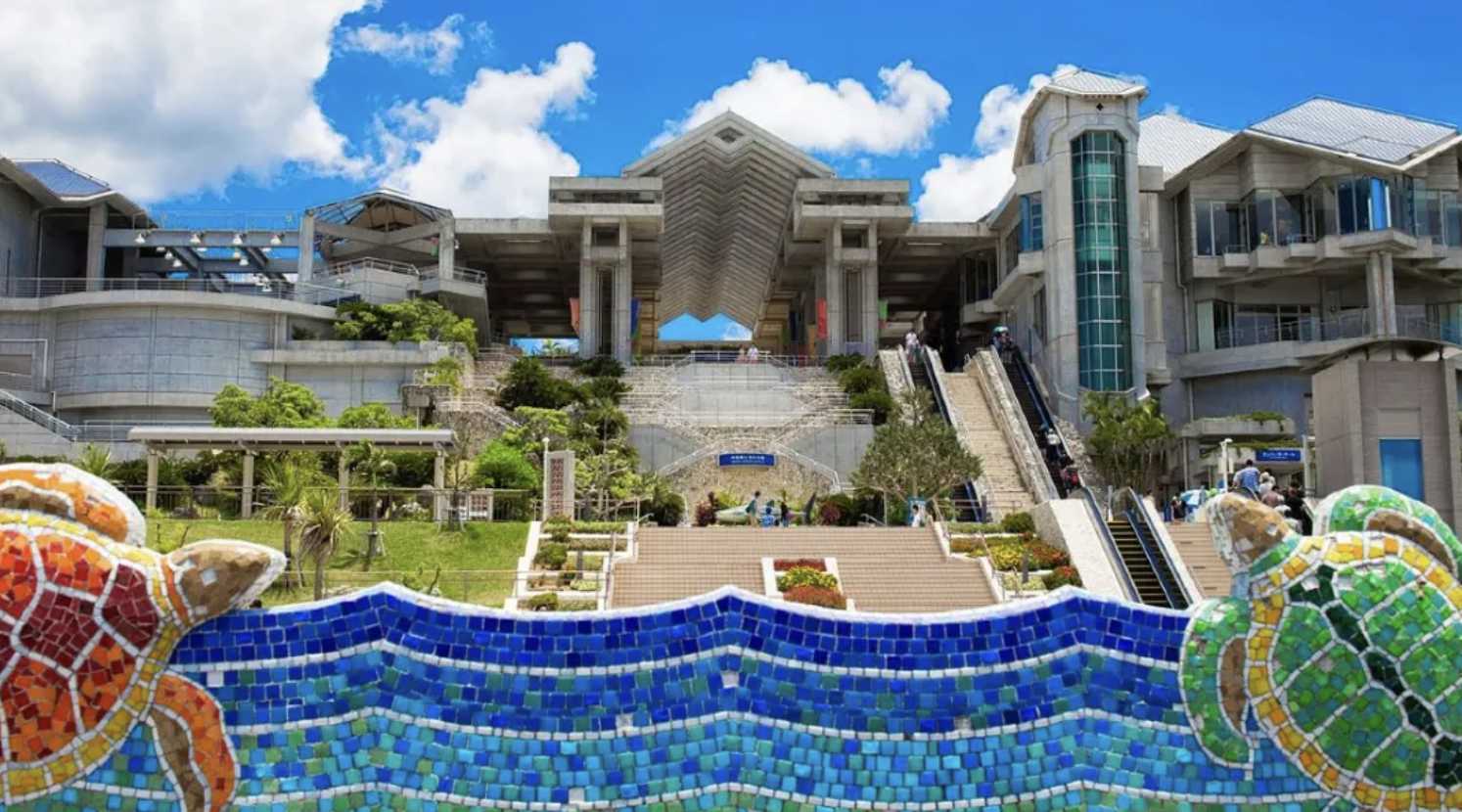 츄라우미 수족관 할인