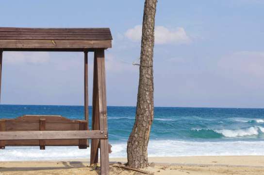 겨울 당일치기 여행 강릉