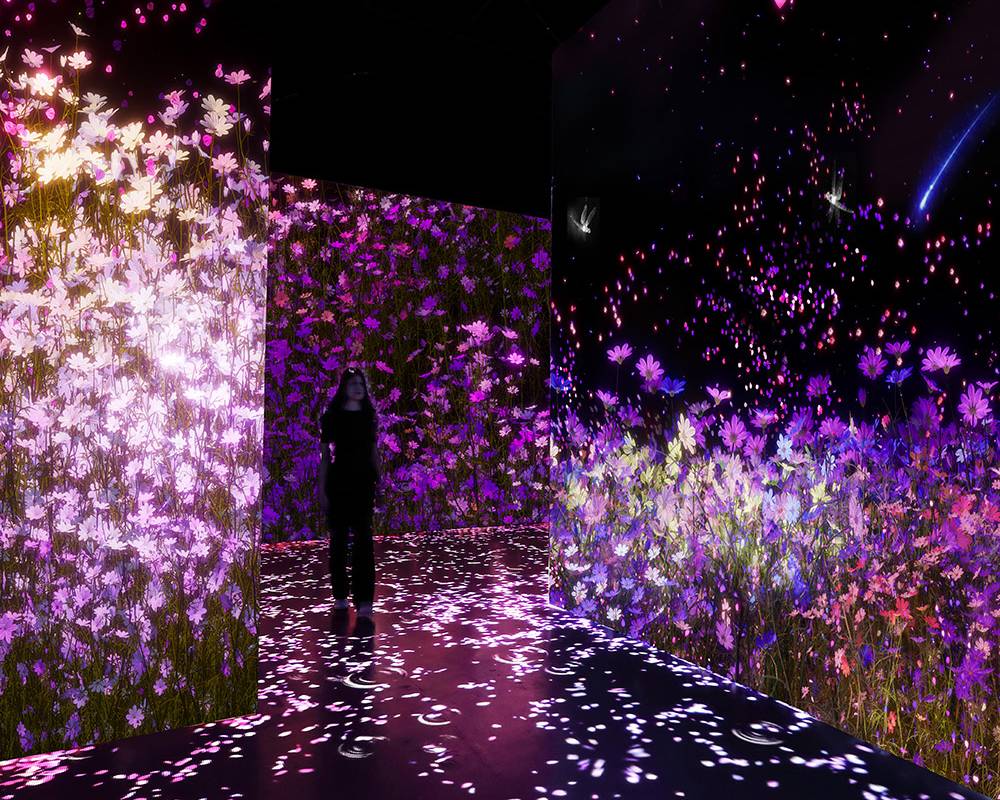 沉浸式多媒體藝術展，13主題場景超現實體驗。