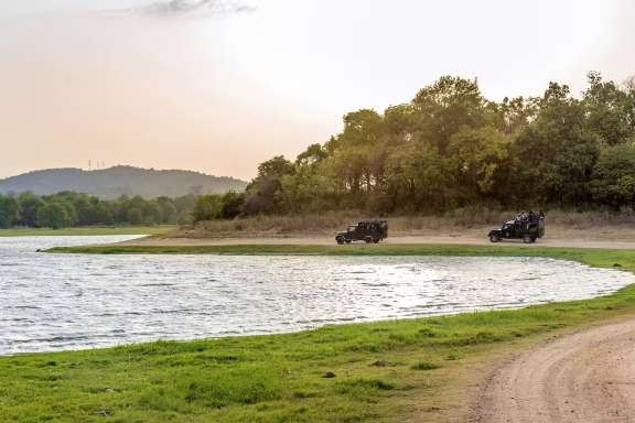 Minneriya National Park