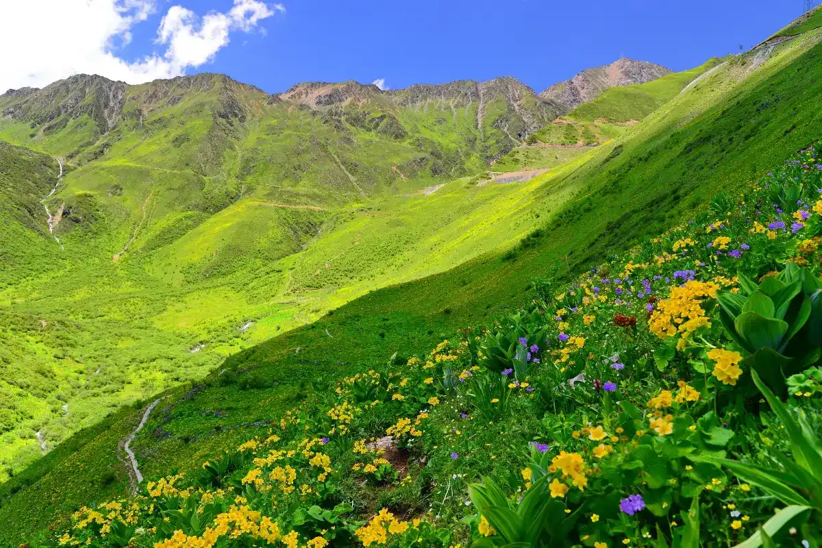 ภูเขาบารัง