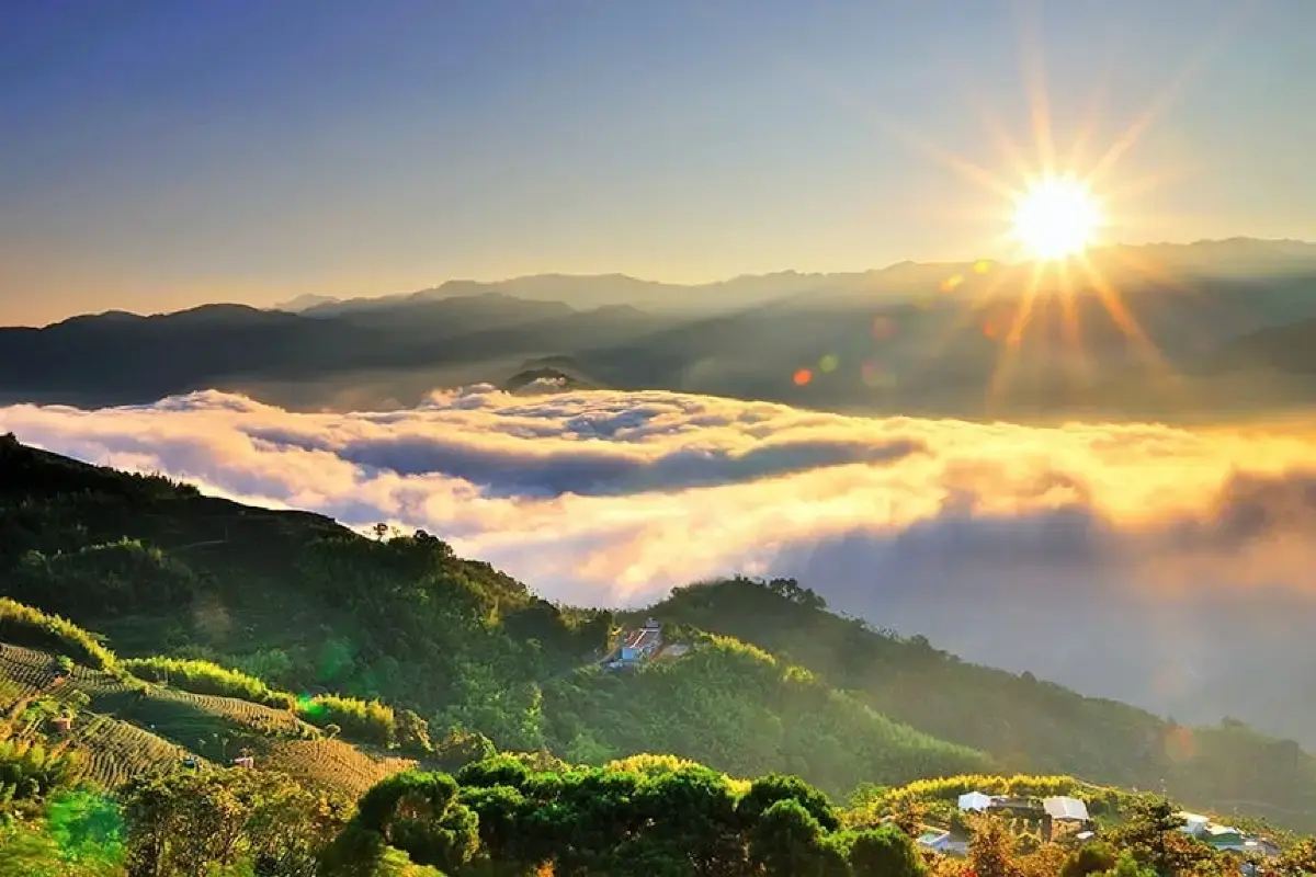 阿里山