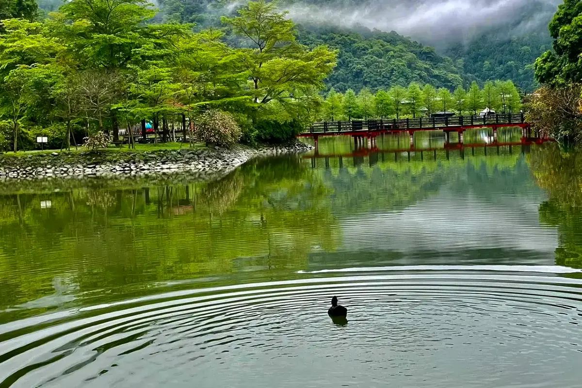 梅花湖