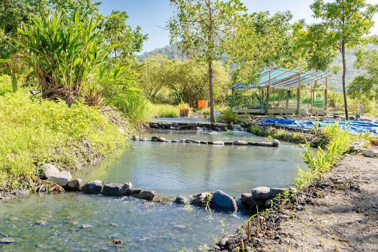 福壽山農場住宿｜太平山旅居
