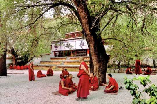 티벳 여행 세라사원