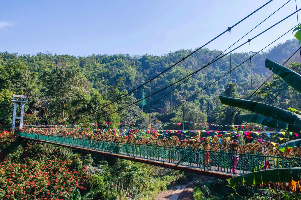 สวนป่าดั้งเดิมซีซวงปานา