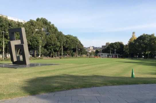 가고시마 벚꽃 공원