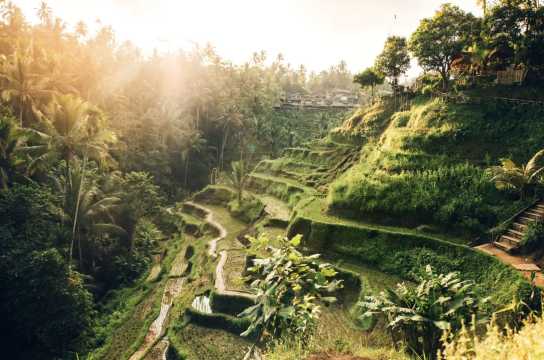 발리 입국신고서 작성법