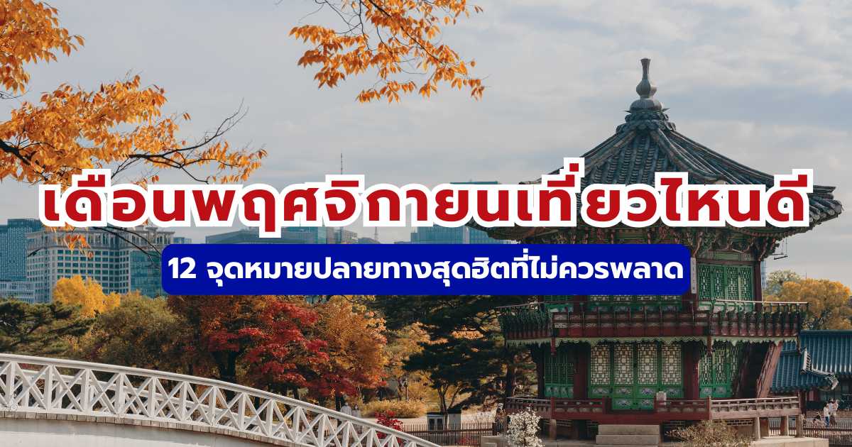 เดือนพฤศจิกายนเที่ยวไหนดี 2569? แนะนำ 12 ที่เที่ยวไทย-ต่างประเทศ รับหน้าหนาว | Trip.com