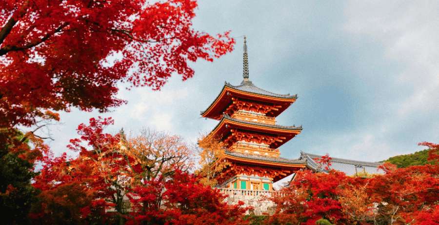 Templo Kiyomizu-dera rodeado de árboles con hojas rojas durante el otoño en Kioto