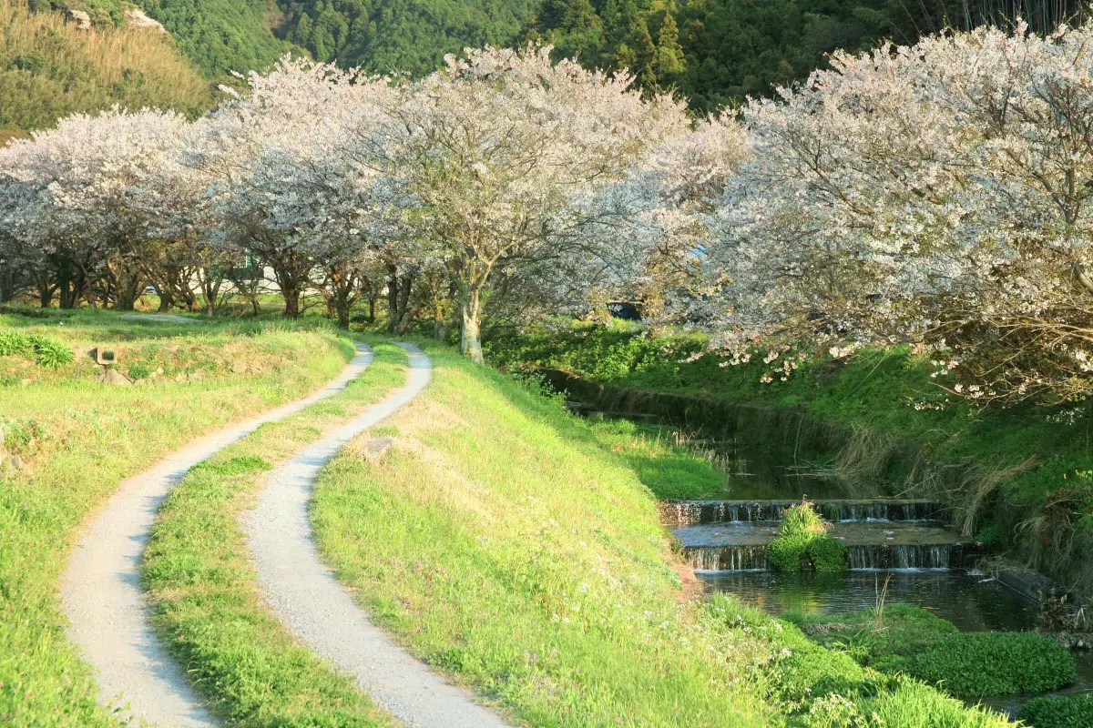福岡景點 #3|舞鶴公園