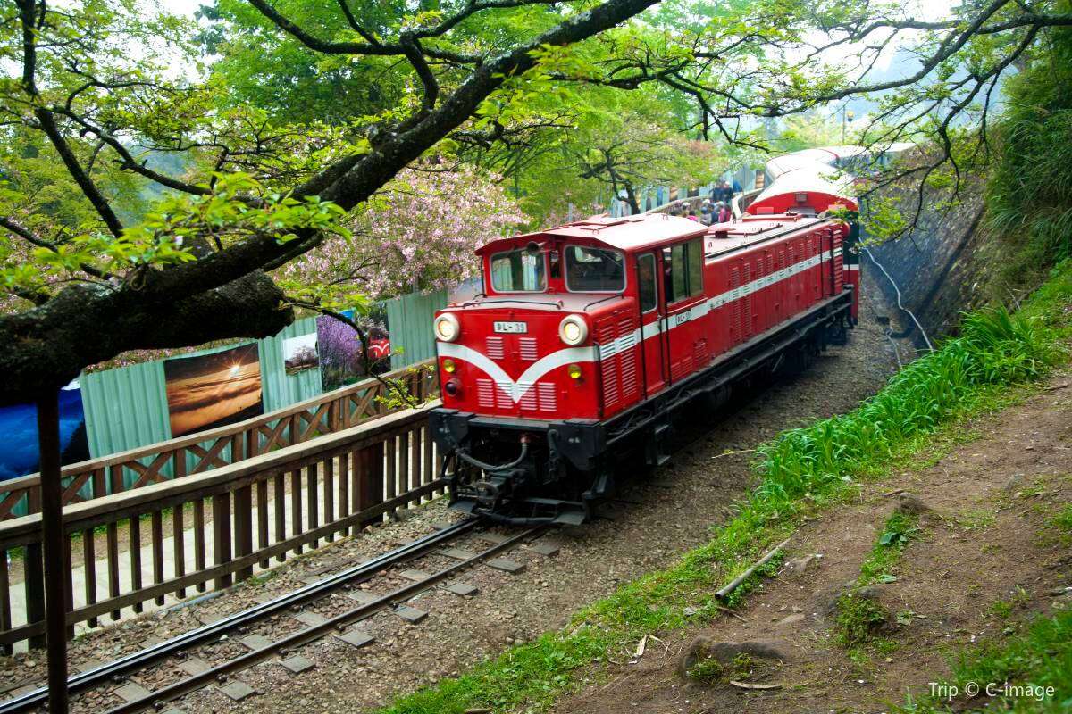 阿里山國家森林遊樂區
