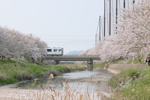 후쿠오카 항공권