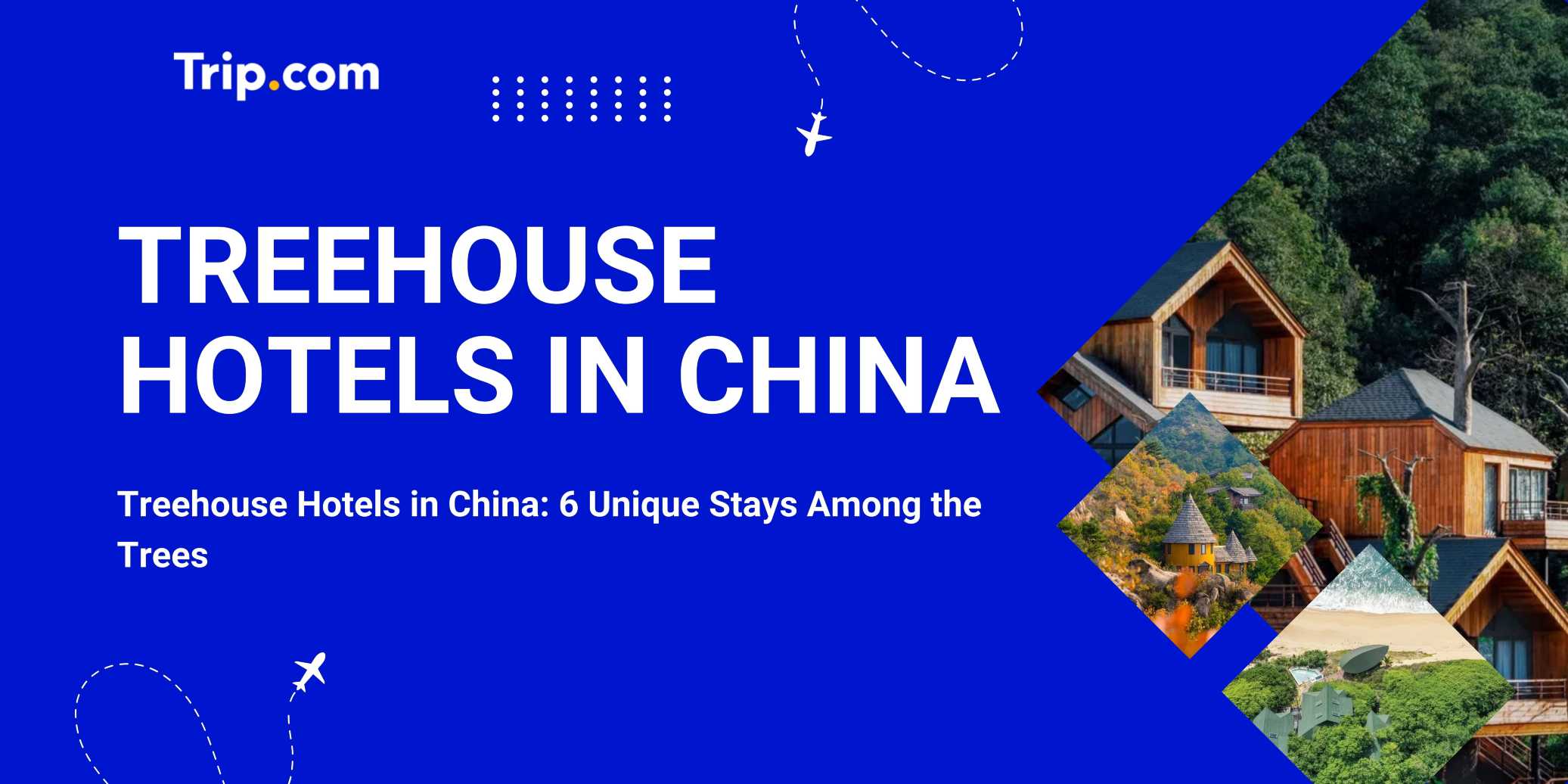 Treehouse Hotels in China: 6 Unique Stays Among the Trees | Trip.com