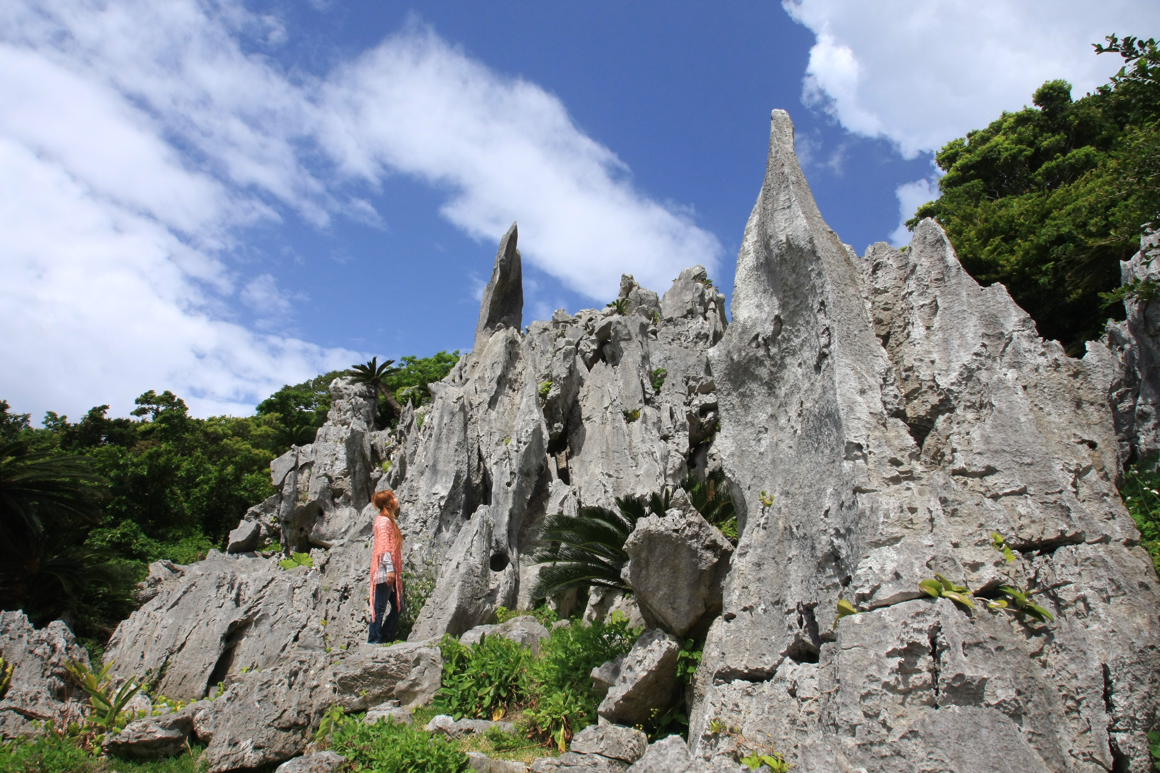 大石林山