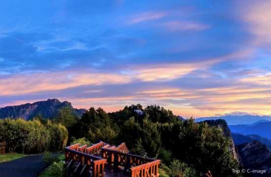 대만 입국신고서 아리산