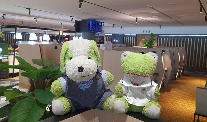 Plush toys sitting on a counter in an airport lounge