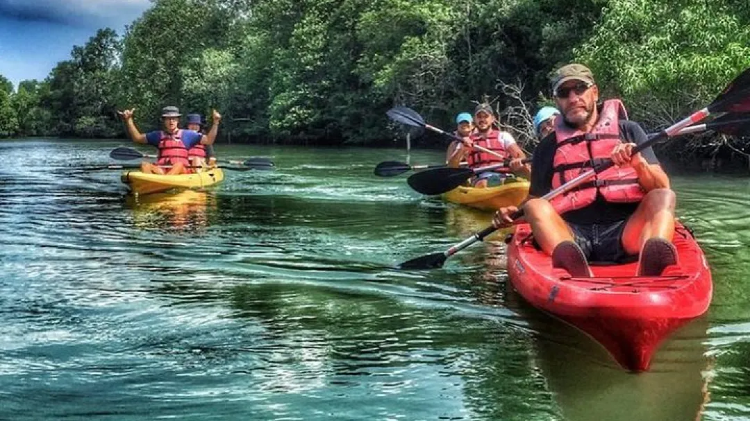 Kayaking through Mangroves