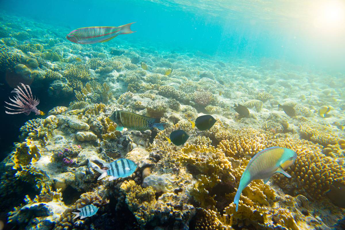 關島景點 #3 魚眼海洋公園