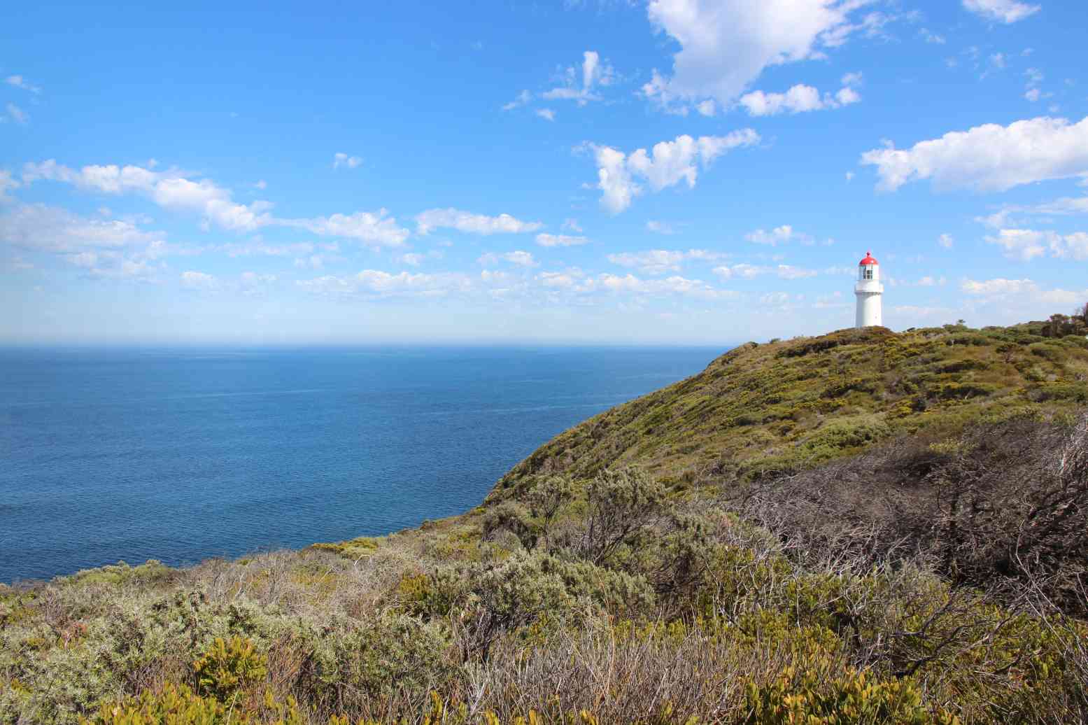 멜버른 와이너리 코스