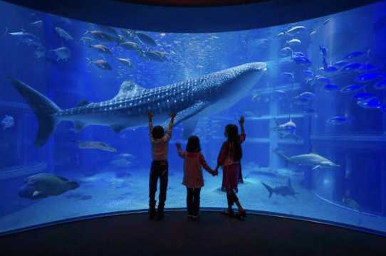 오사카 당일치기 주유패스