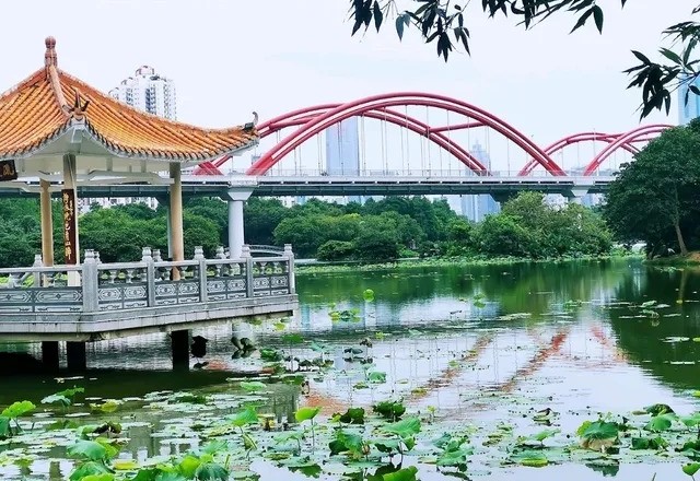 羅湖好去處