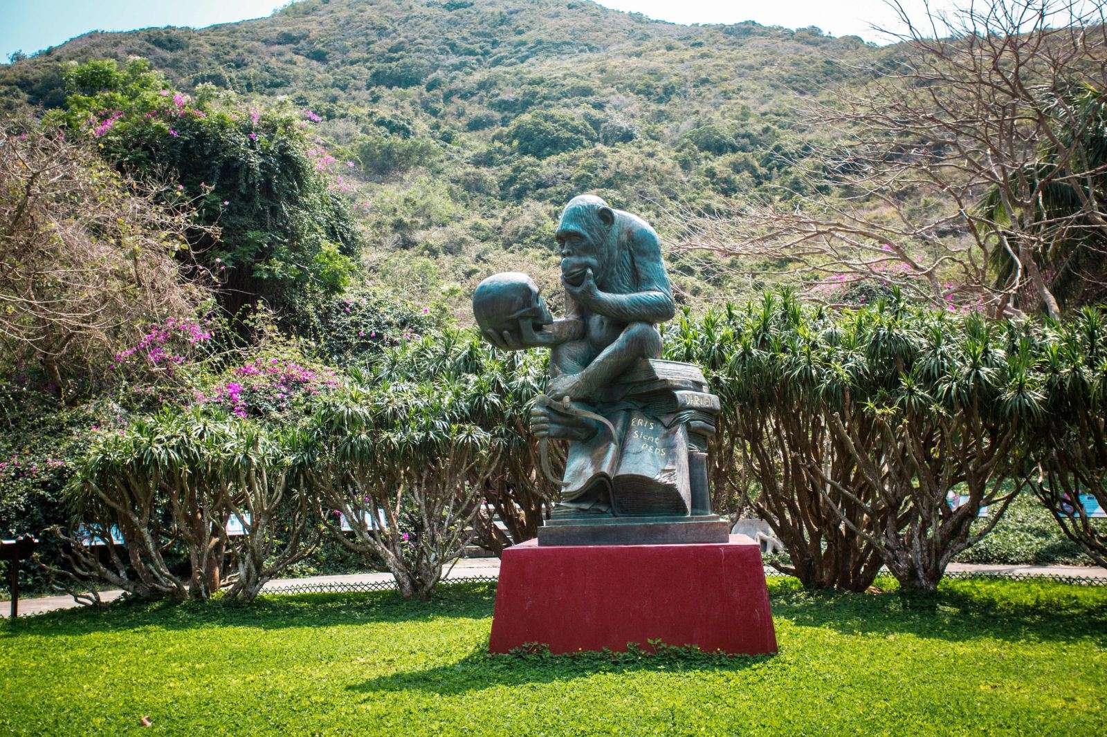 Билеты на Остров обезьян в Санье