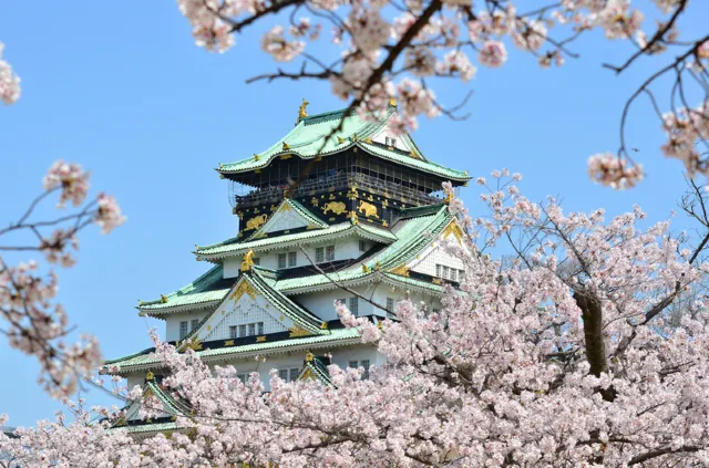 大阪城春櫻