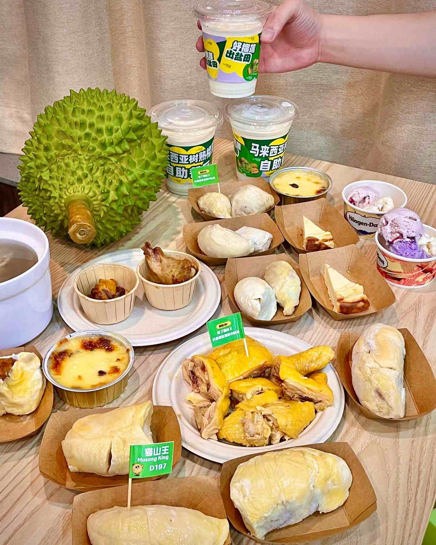 開皇馬來西亞樹熟榴槤自助餐廳