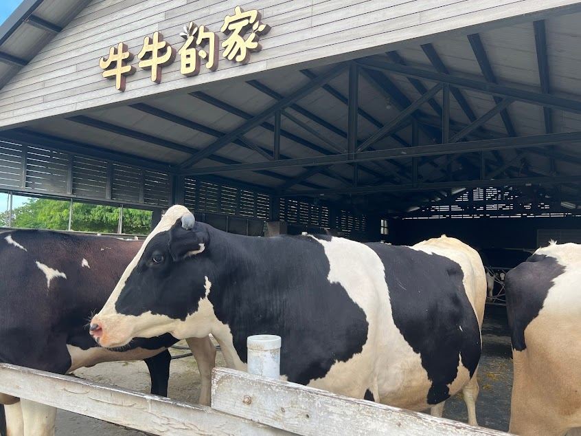 千巧谷牛樂園牧場
