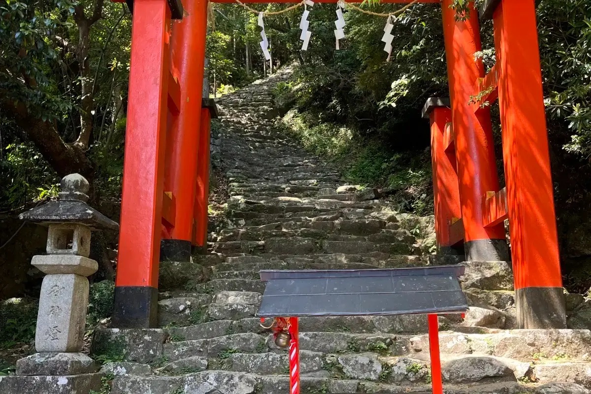 日本冬季祭典 #15｜御燈祭