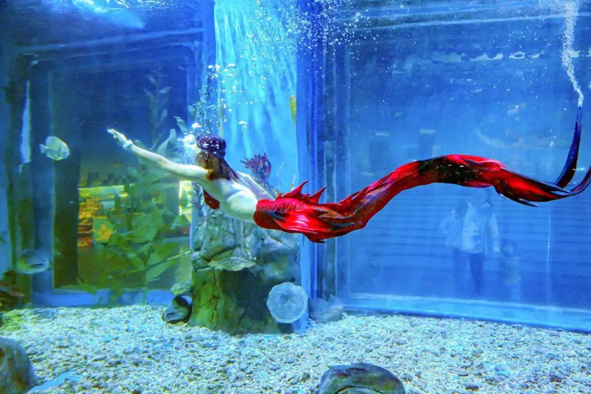 The Oceana World of Marine Life