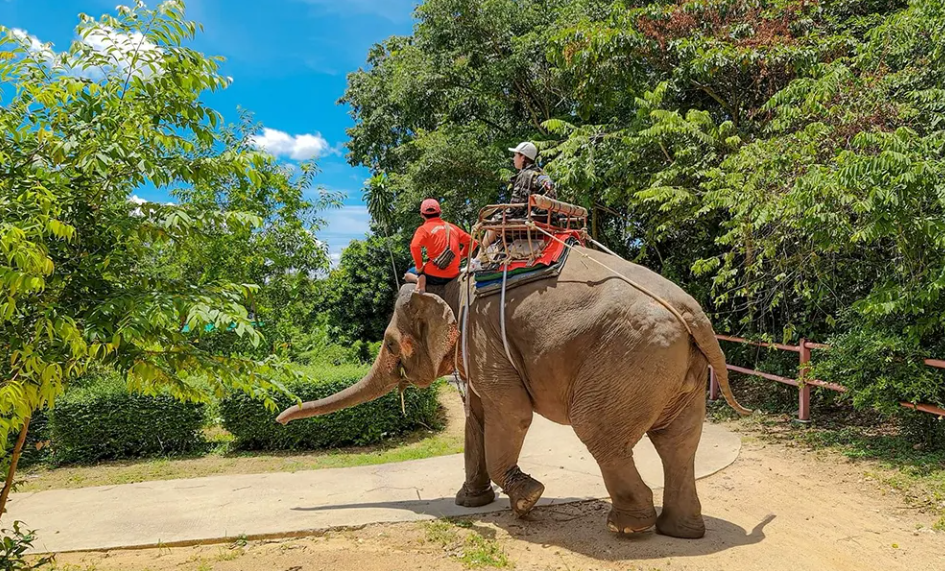 ที่เที่ยวพัทยา