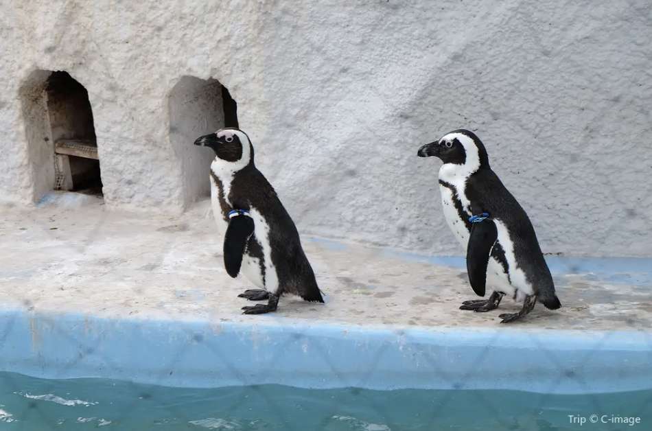 아이와 도쿄 가족여행