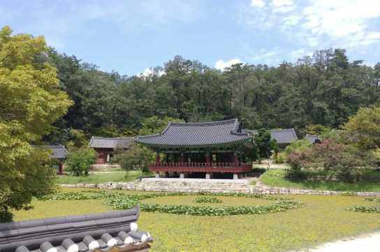 포항 근교 가볼만한 곳 울진