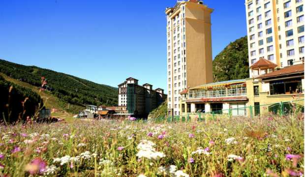 Where should you stay?