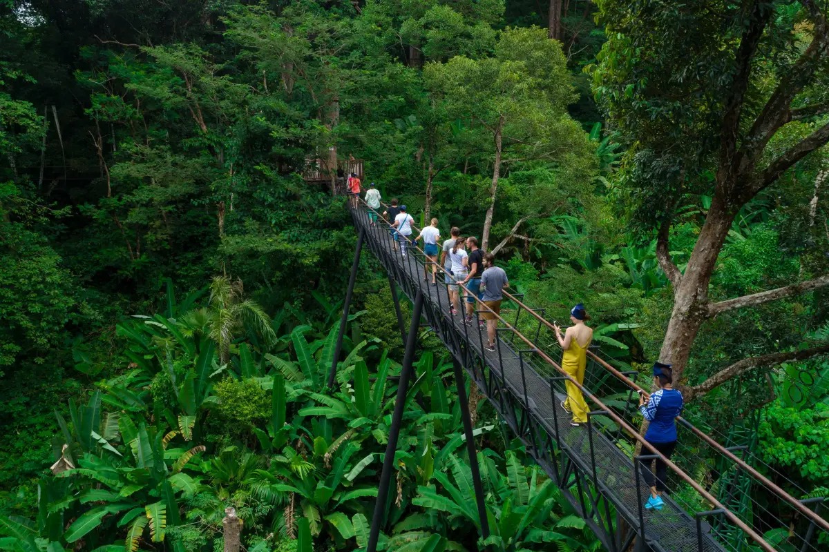 Hanuman World 叢林飛躍