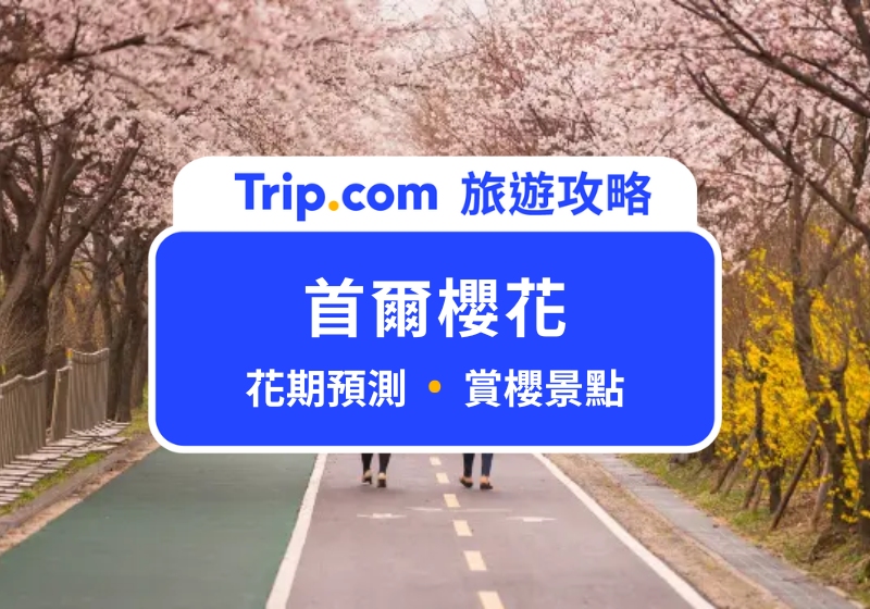 2025 首爾櫻花景點、賞櫻時間預測!盤點歐膩最愛的賞櫻勝地,汝矣島、石村湖、首爾林、慶熙大學
