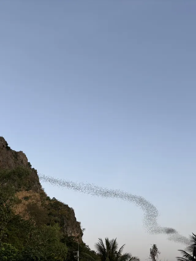 ถ้ำค้างคาว