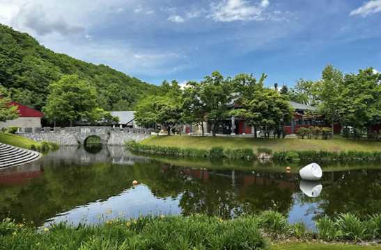 삿포로 단풍 무료