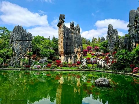 ป่าหินเล็ก (Lesser Stone Forest)