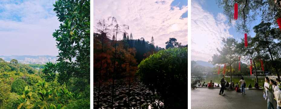 Collage of an urban park with a lake, trees and visitors strolling under red lanterns