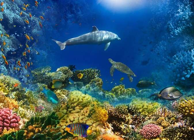 나트랑 여행시기 건기 우기