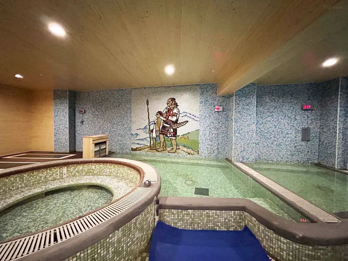 福壽山農場住宿｜臺中武陵農場富野渡假村