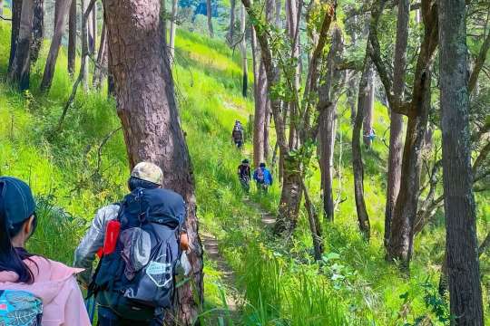 เริ่มต้นเดินป่าสู่ลานกางเต็นท์อ่างสลุง